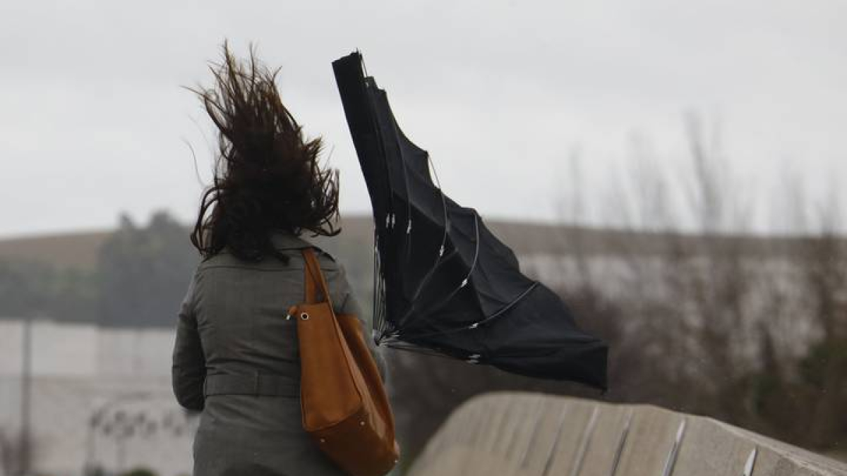 viento