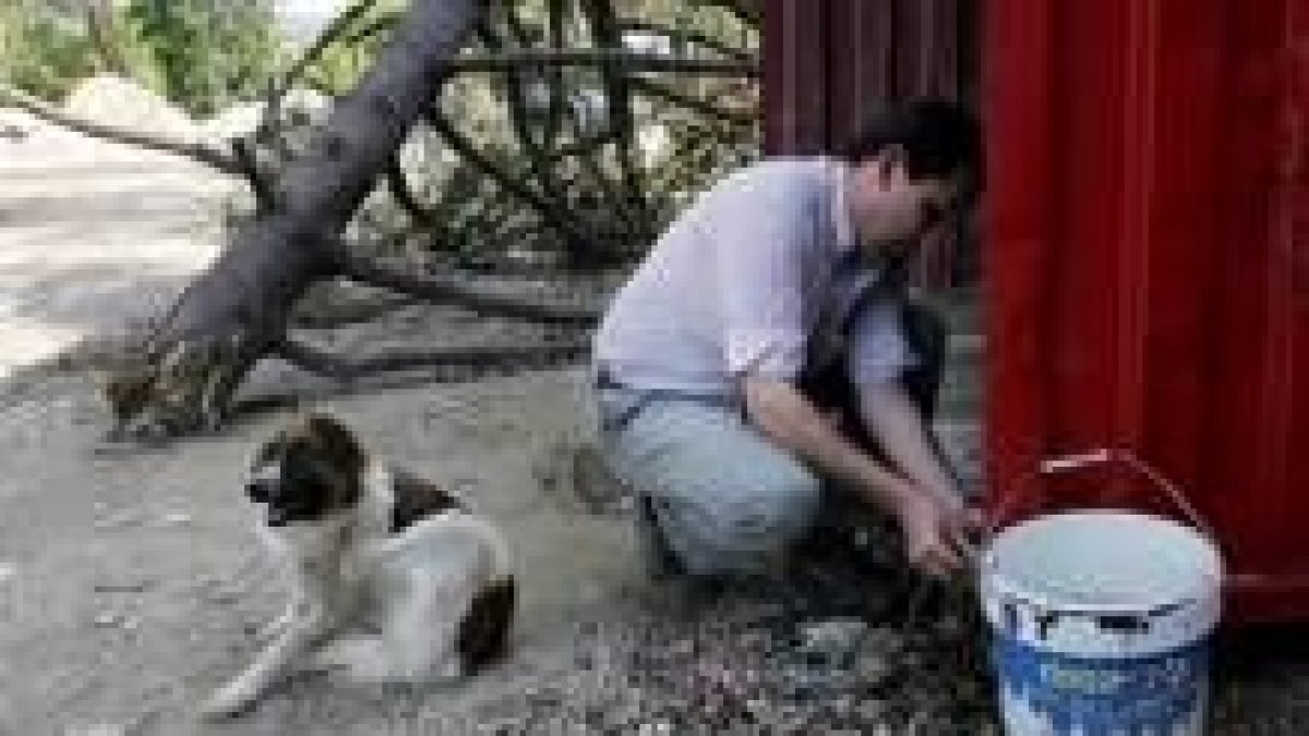 El dueño del perro señala el lugar donde encontró al can con el feto en la boca