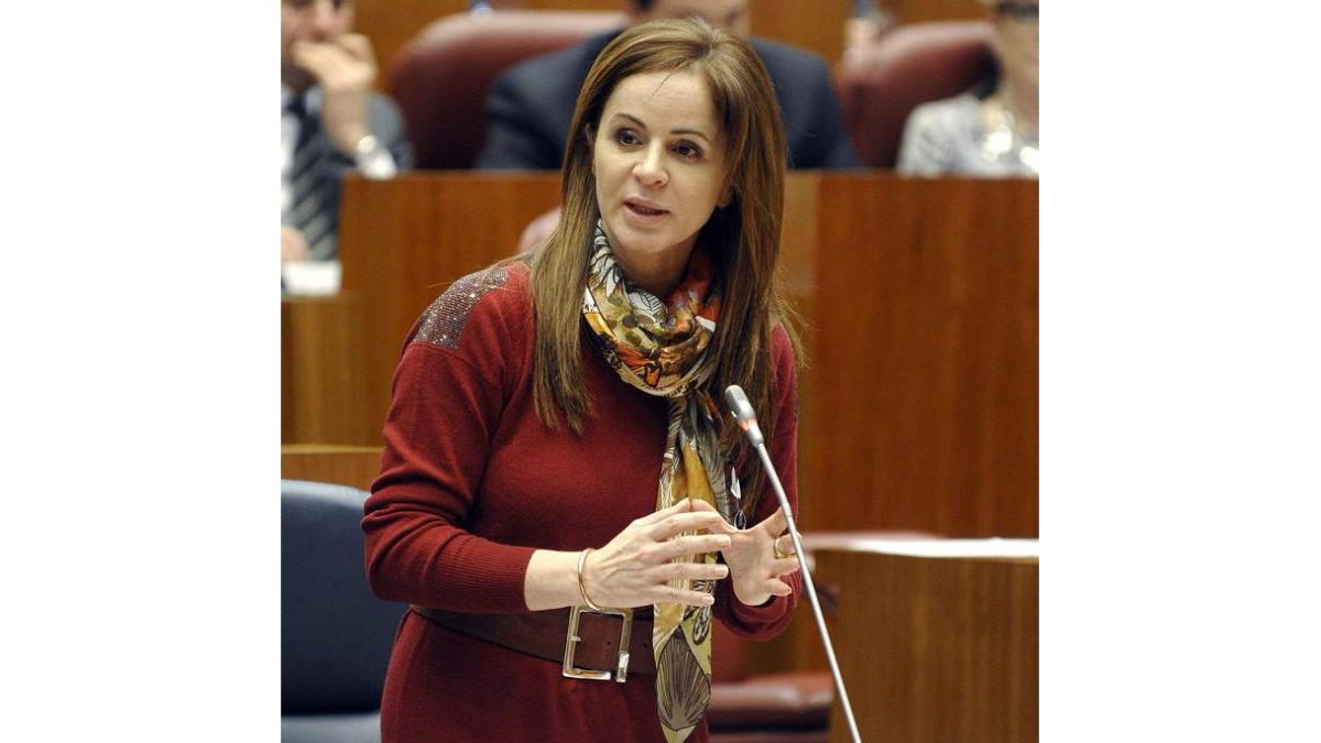 La consejera Silvia Clemente, durante su intervención.