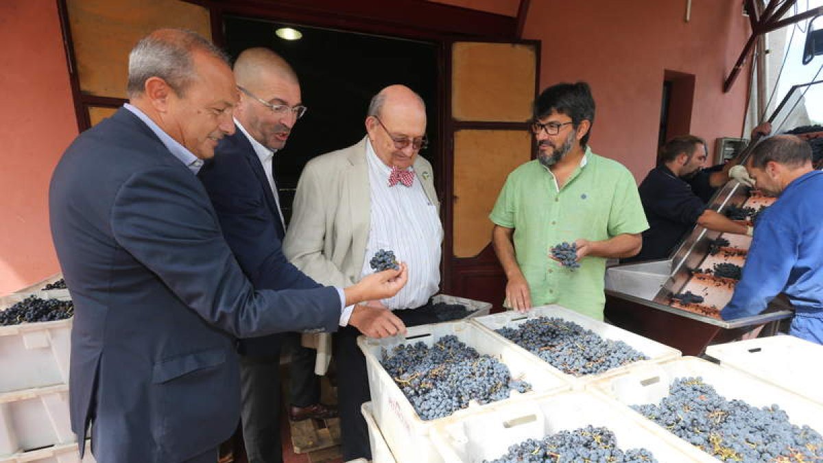 Delgado, Costas, Fonseca y Marqués, ayer en la bodega.