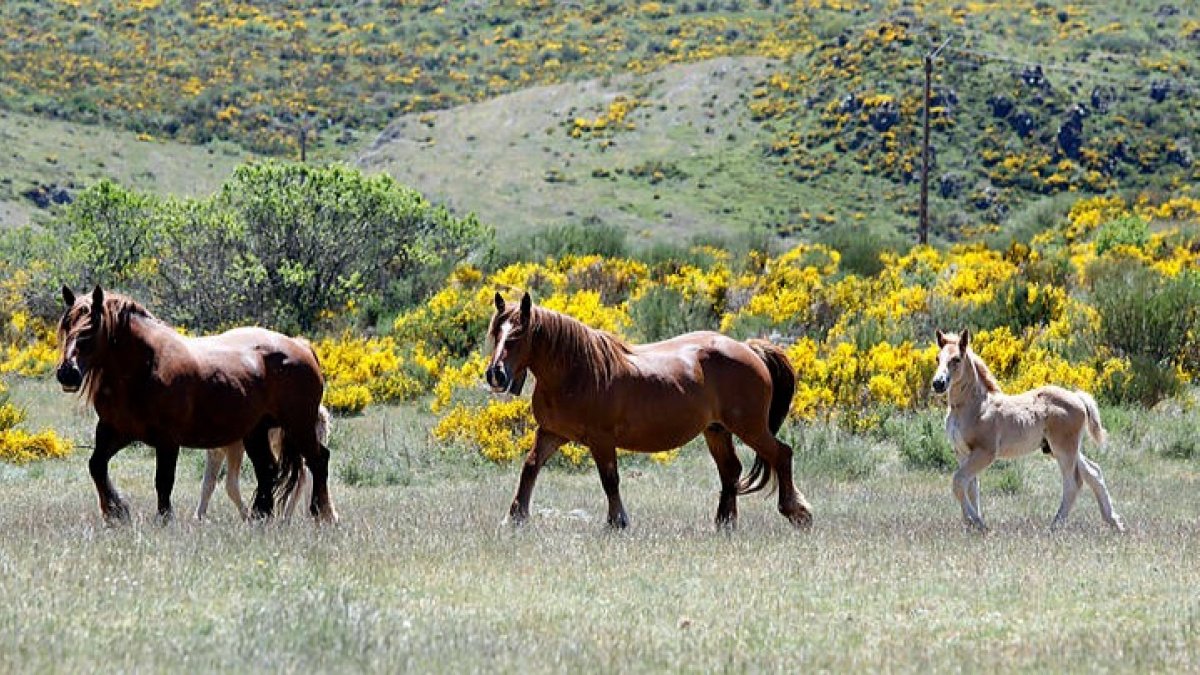 Foto: MARCIANO PÉREZ