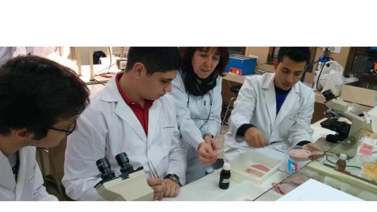 Alumnos de bachillerato del Sánchez Albornoz reciben una clase en el campus universitario.