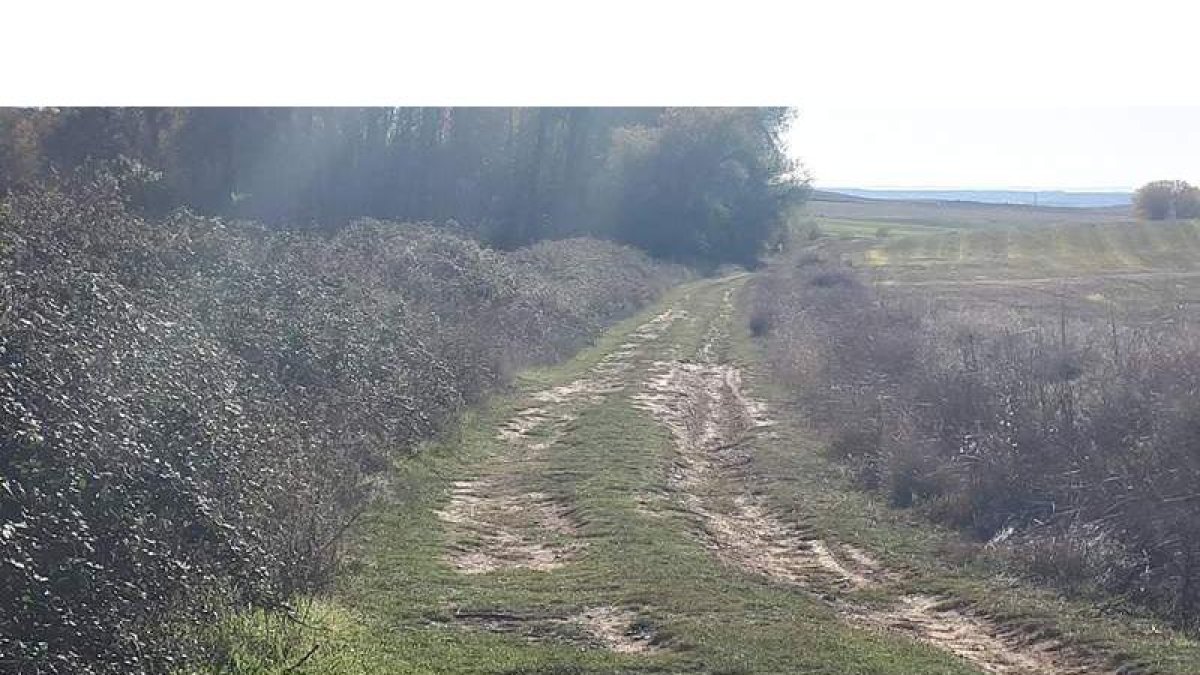 Valencia de Don Juan pone en marcha sus rutas del BTT. DL