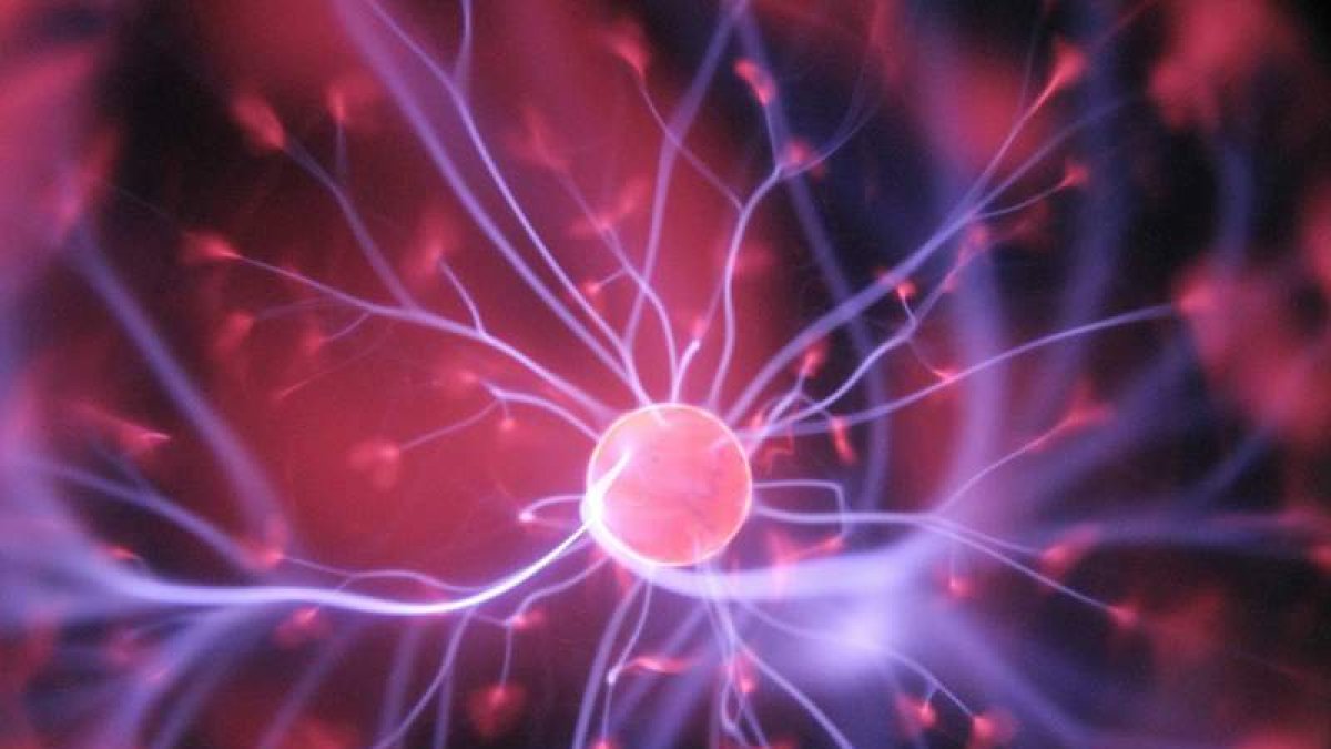 El reto de la psiquiatría y la neurociencia con el cerebro. DL
