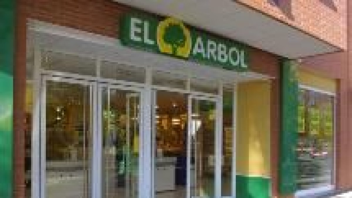 Establecimiento de supermercados El Árbol situado en el polígono de Eras de Renueva