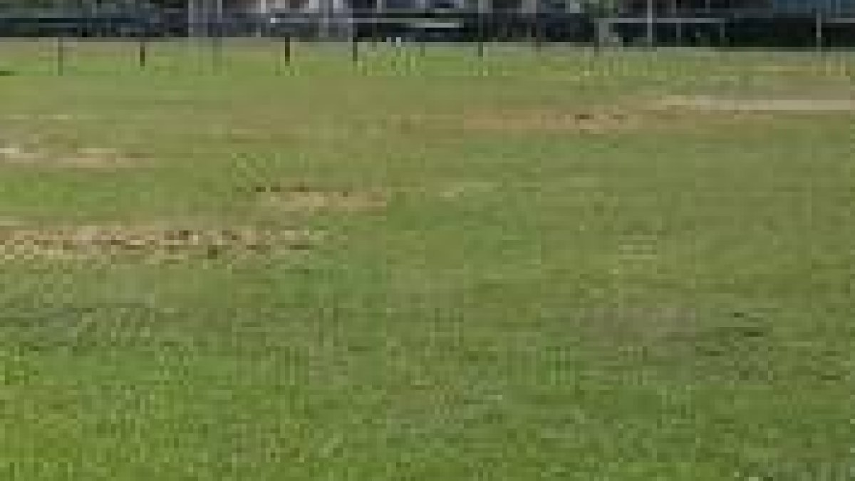 El fútbol base necesita instalaciones acondicionadas para que los más pequeños estén a gusto