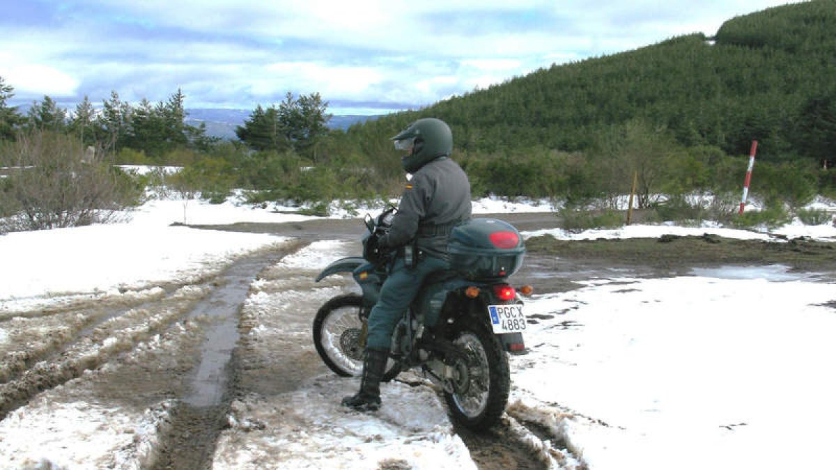 guardia civil