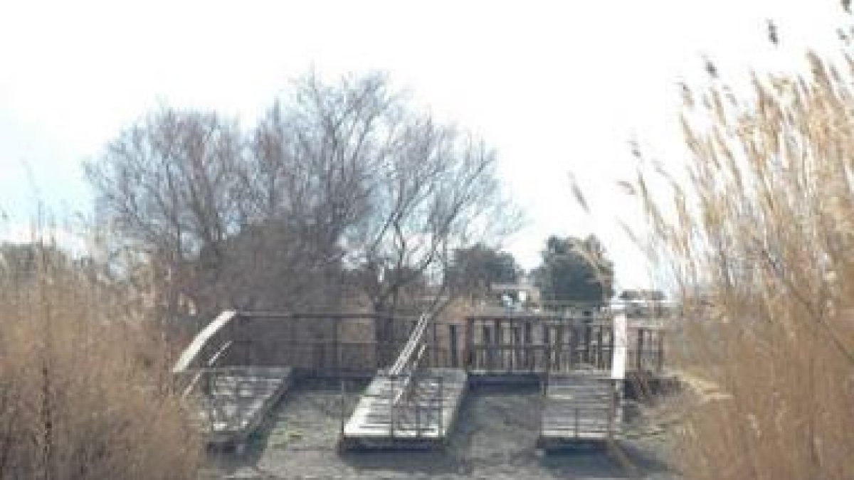 Imagen del mal estado que presenta el Parque Nacional de las Tablas de Daimiel.