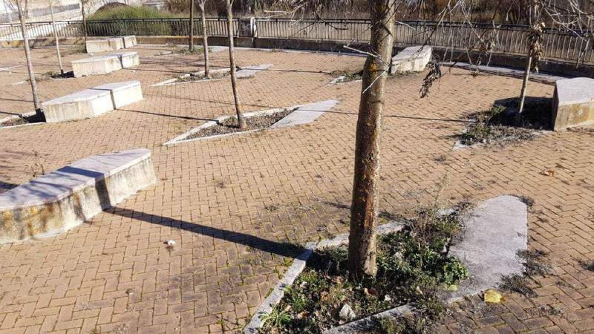 Una de las áreas afectadas en la zona de la ribera del Torío. DL