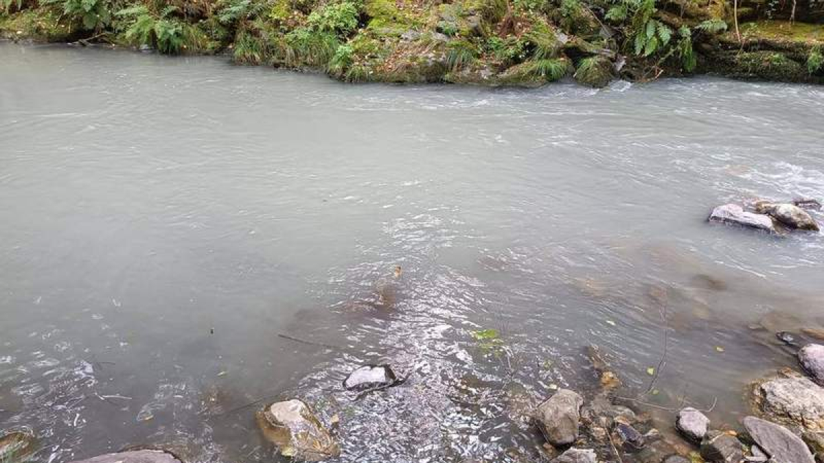 Estado de las aguas a la altura de Robledo de Losada. DL