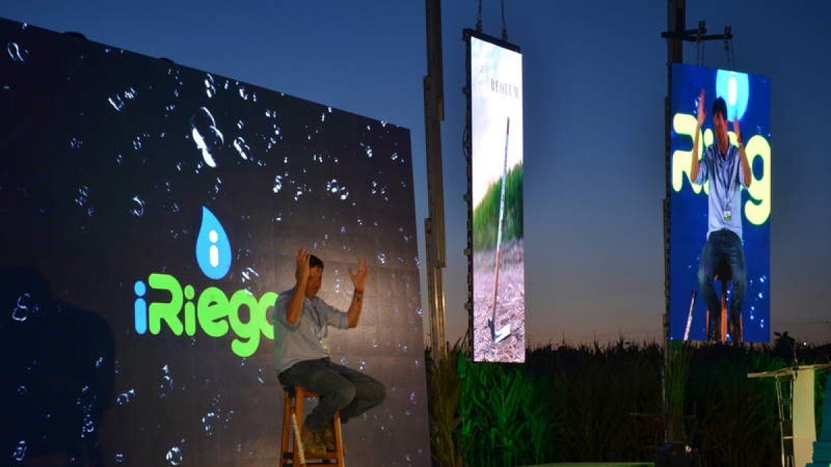 El gerente de Iriego, Paco Fernández. MEDINA