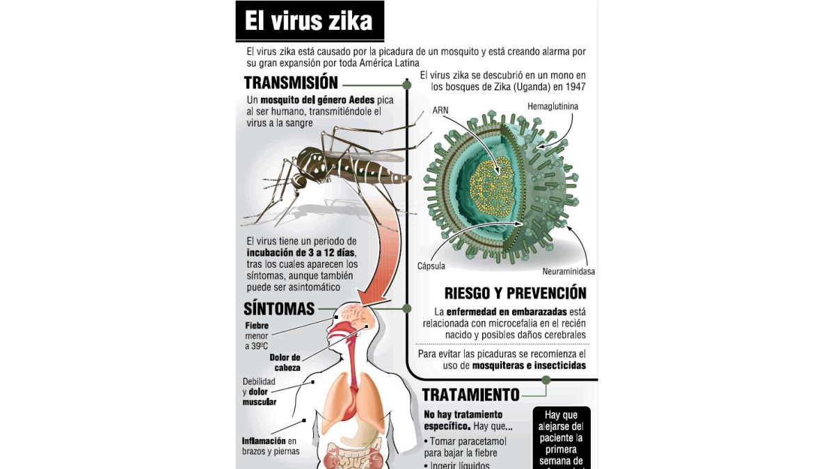 (Click sobre la imagen para ampliar)