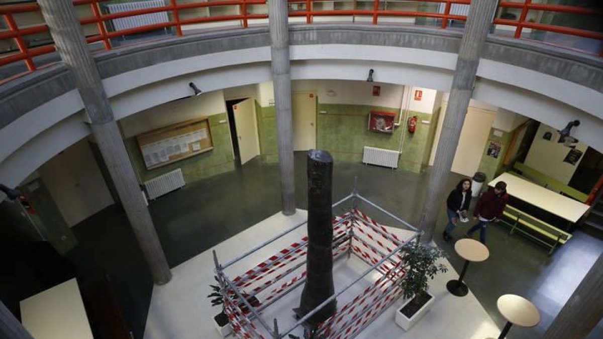 El ejemplar, único en el mundo, en el hall de la Escuela de Minas del campus universitario de León.