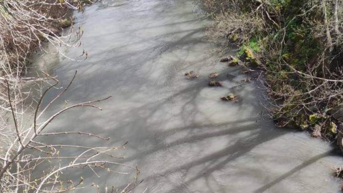 Estado en el que bajan las aguas en Robledo de Losada. DL