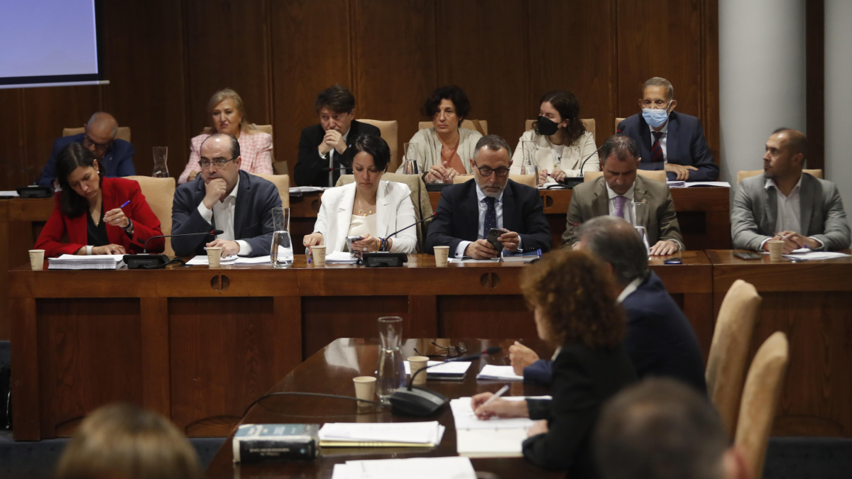 Un momento del pleno ordinario celebrado esta mañana. L. DE LA MATA