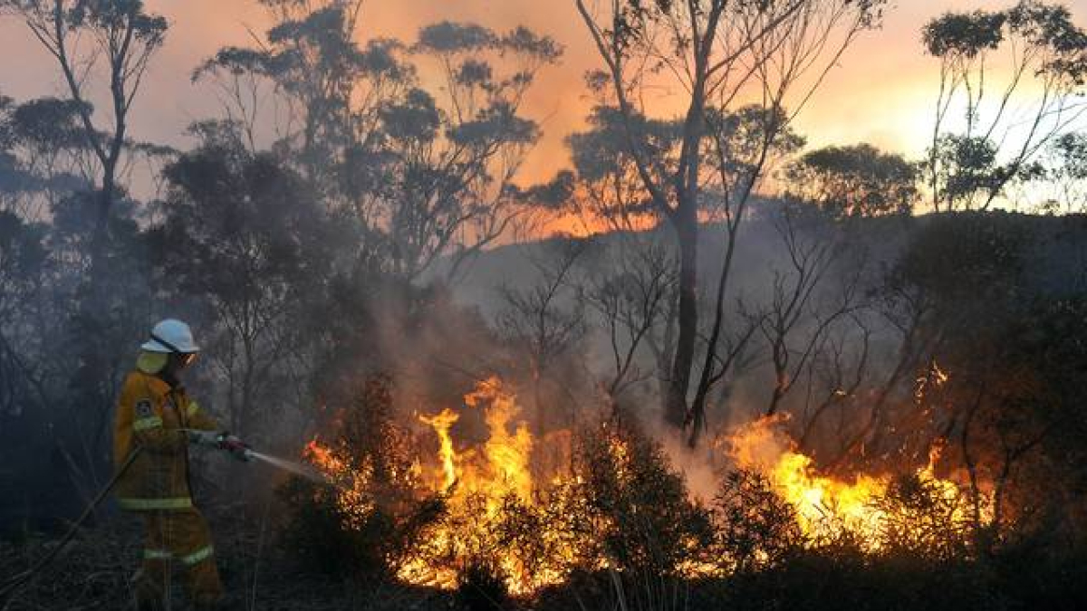 Un bombero voluntario de Nueva Gales del Sur intenta apagar las llamas en Bell, al este de Australia, este domingo.