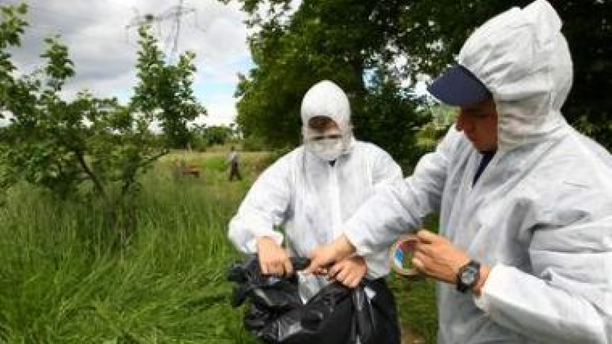 Las alertas de plagas llegarán ahora también por Internet