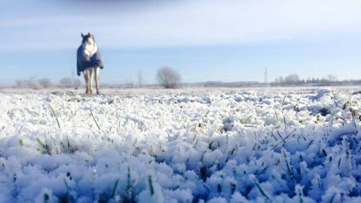 Nieve a primera hora de la tarde en Valdefresno