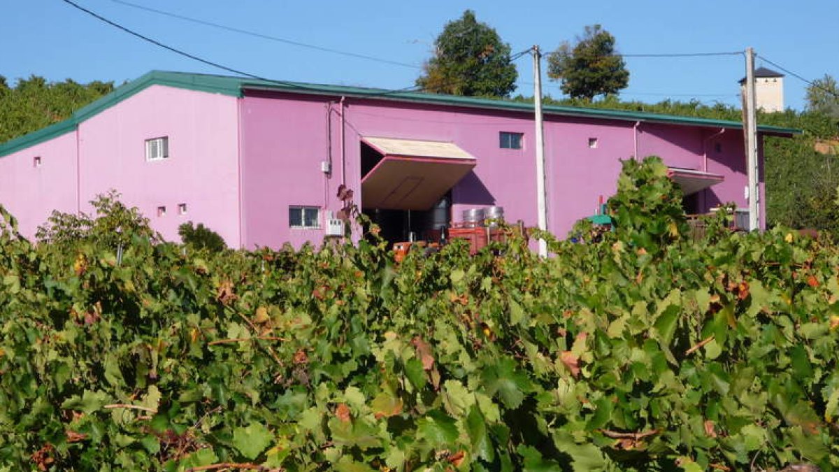Cobertizo levantó sus instalaciones en la ladera desde la que se disfruta de la mejor panorámica del Castro de la Ventosa.