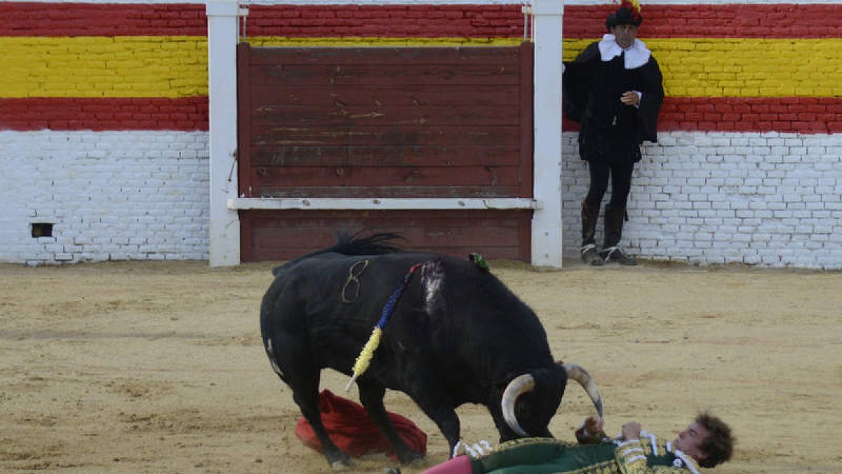 Uno de los caballos resultó herido en una pata. ACACIO