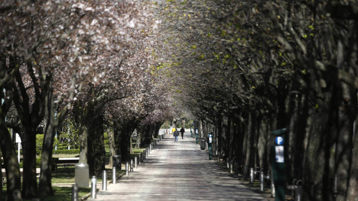 Calles vacías por el coronavirus. F. Otero Perandones.