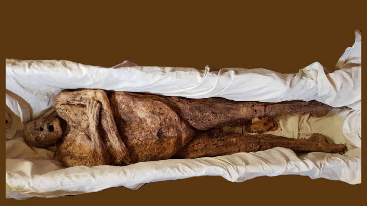 Restos de la reina Doña Urraca, esposa del rey García Ramírez de Navarra, expuestos en la Catedral de Palencia durante la muestra Renacer. ANTONIO RUBIO
