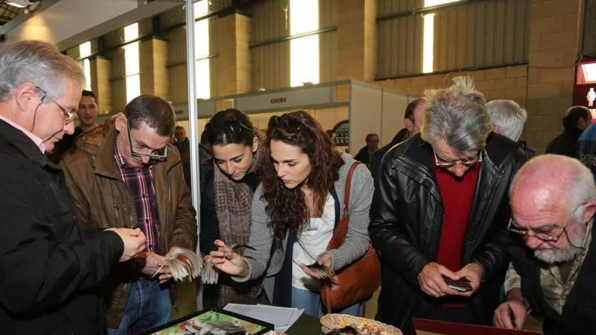 El polideportivo de La Vecilla será el picentro de una feria que se alargará hasta el domingo.