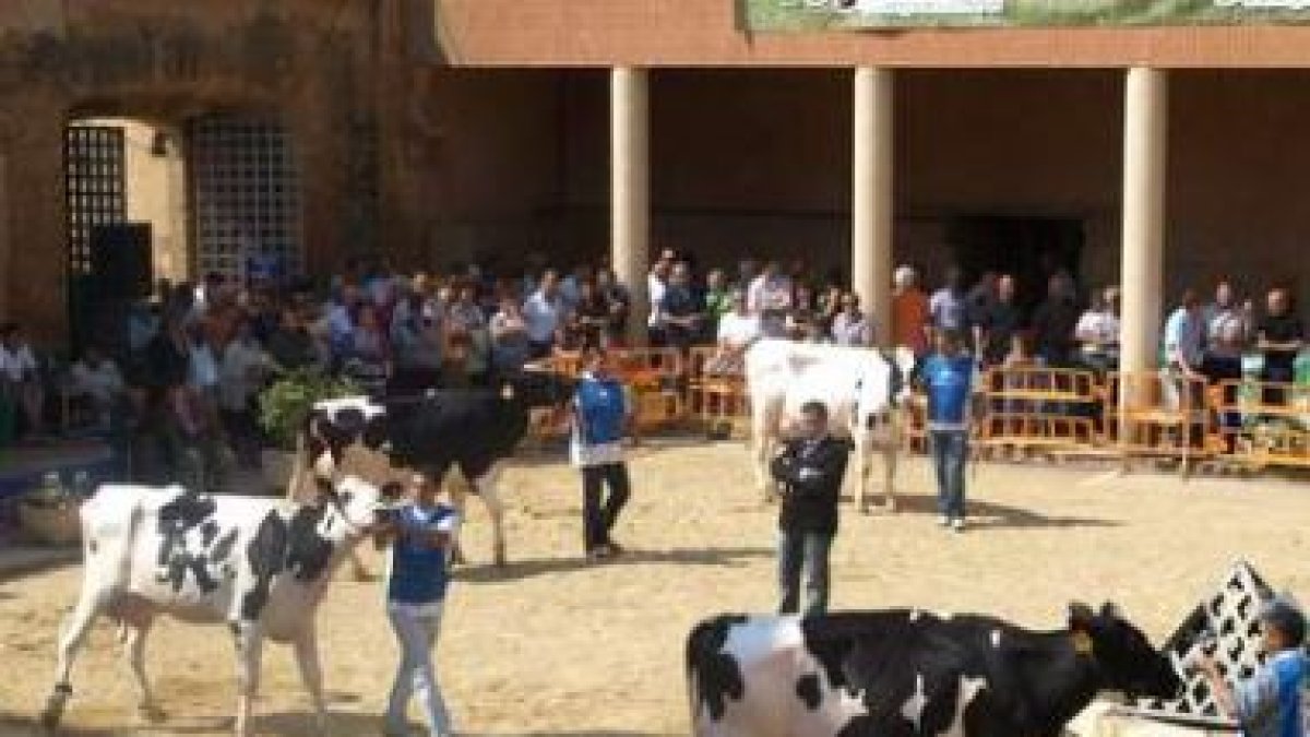 El diestro Antonio Boyano lidia uno de los novillos.