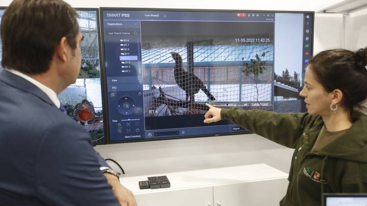 Suárez Quiñones ha visitado el centro de cría del urogallo de Valsemana. RAMIRO