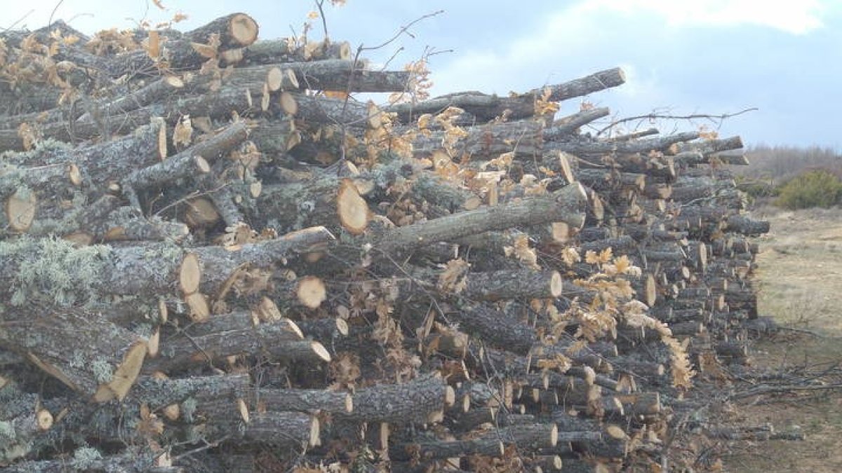 Fotografía de archivo de leña apilada. DL