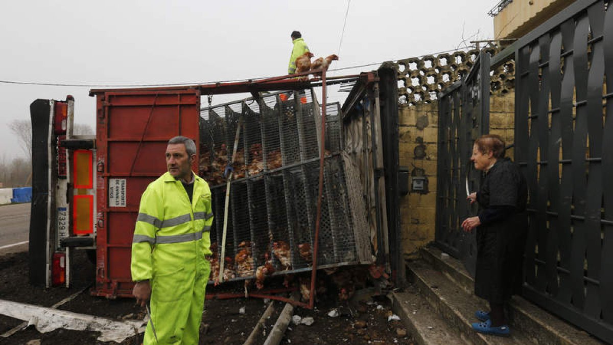 La labor para recuperar las aves se prolongó durante toda la jornada de ayer