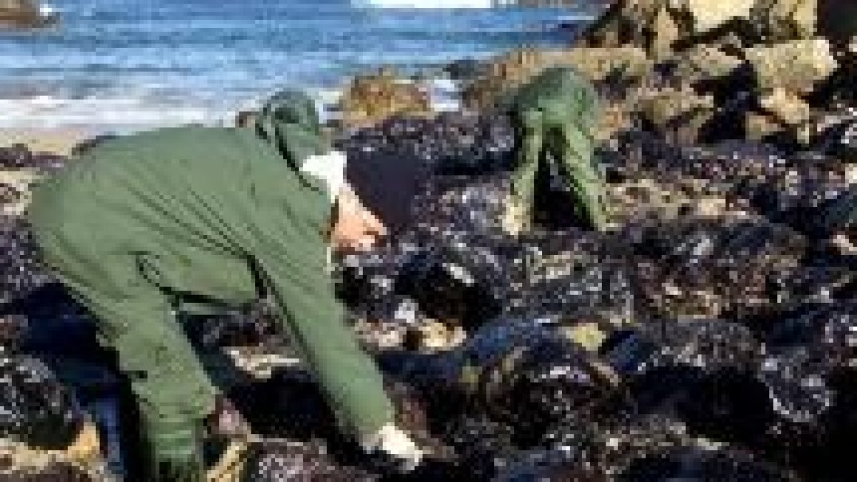 Un marinero limpia de fuel la playa de Santa Justa, en Cantabria