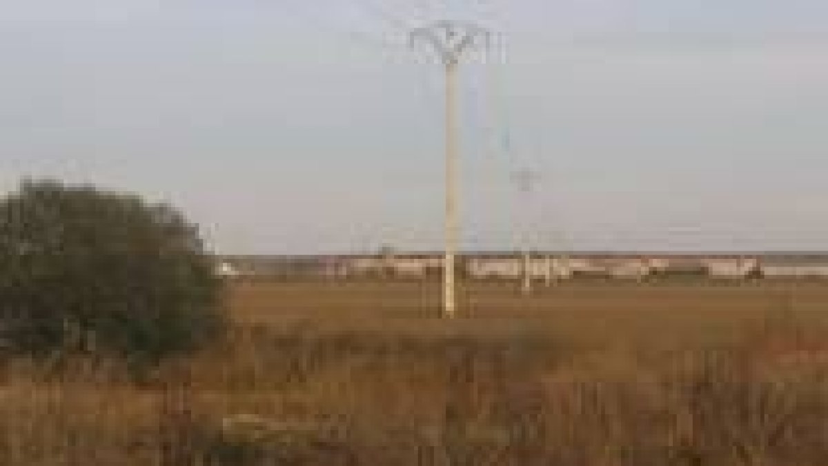 CARNICERO