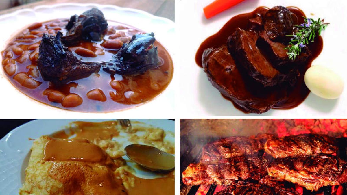 Cocina de Invierno es una muestra diversa y sugerente de los platos más representativos de esta época del año. Cocina contundente, fiel reflejo de la tierra que abandera.