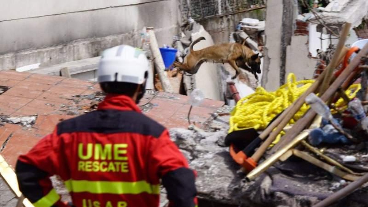 La UME logró rescatar el cuerpo del español Jorge Gómez el viernes por la mañana (hora de México), después de once días de trabajos en el edificio del 289 de la calle Álvaro Obregón, en la colonia Roma.