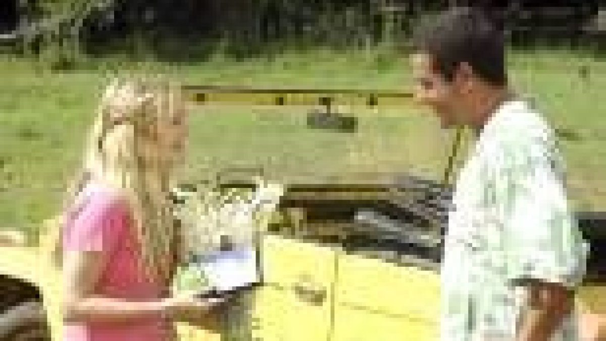 Adam Sandler deberá conquistar a Drew Barrymore todos y cada uno de los días