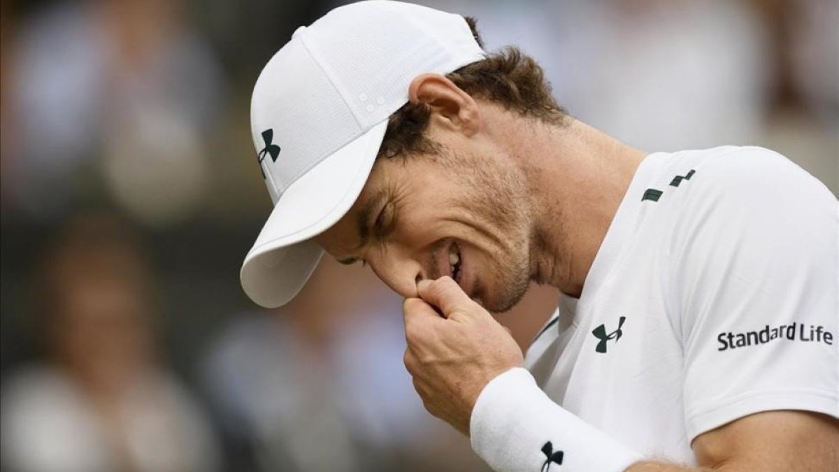 Murray se desespera durante el partido contra Querrey en Wimbledon.