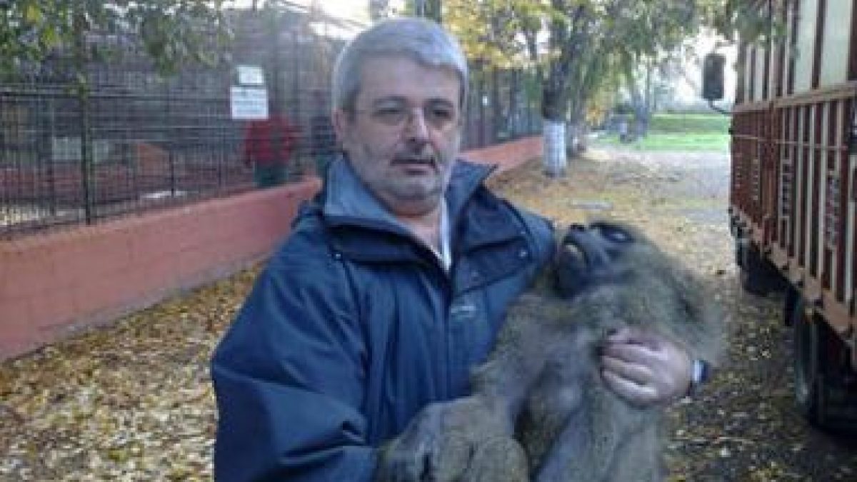 El edil responsable del Coto Escolar, Agustín Pérez Lamo, posa con uno de los monos.