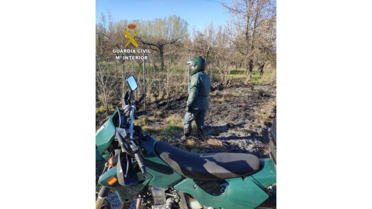 El fuego comenzó por la aplicación de un medio de ignición y en un solo foco, han comprobado los agentes que investigan el incendio. En la imagen, uno de los guardias civiles, en la zona del inicio del fuego que quemó 130 hectáreas en el paraje de Valdedi
