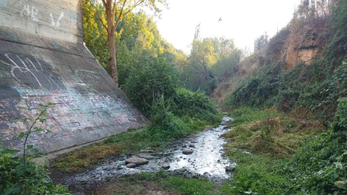 Imagen de los vertidos difundida ayer por elgrupo USE. DL