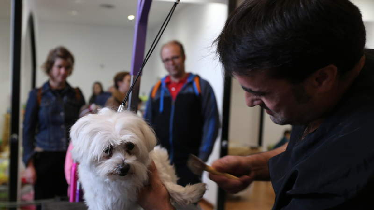 El cuidado de mascotas ha generado un negocio creciente en la comarca. ANA F. BARREDO