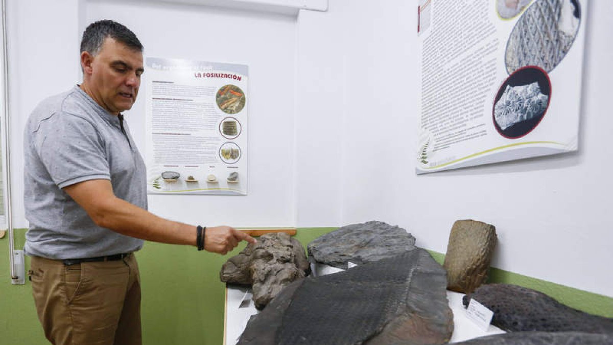 Poliocarpo Fernández, uno de los fundadores del aula, junto a unos fósiles. CAMPILLO