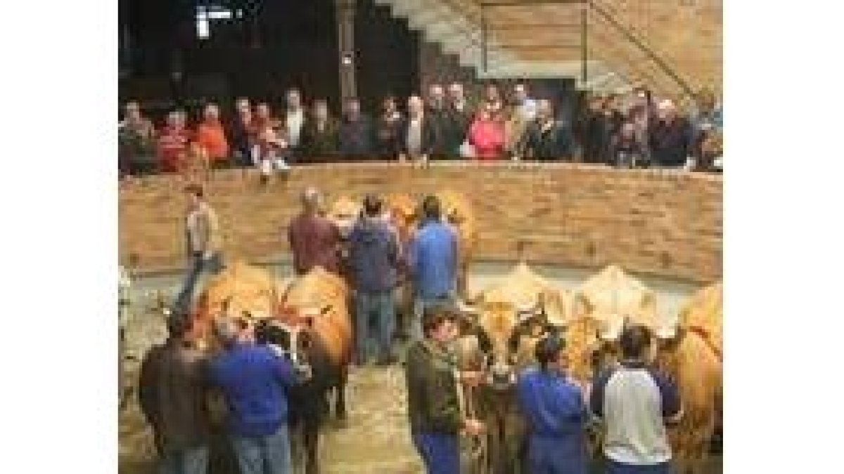 El recinto ferial de Las Rozas acogió el certamen