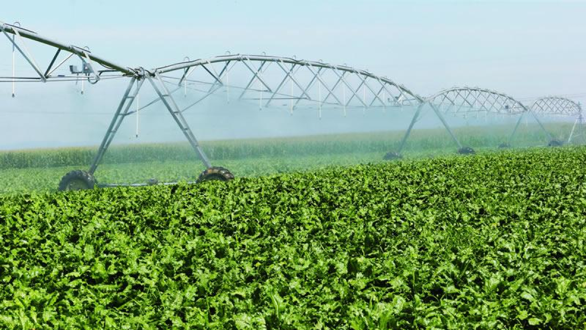 Un pívot riega una finca del Páramo Bajo. Los regantes no están de acuerdo con los cánones y tarifas de los años anteriores.