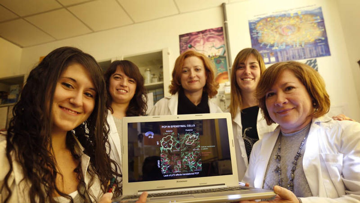 Camen Marín, a la derecha, con el equipo que ha identificado el gen y su función en el cerebro (imagen del ordenador)