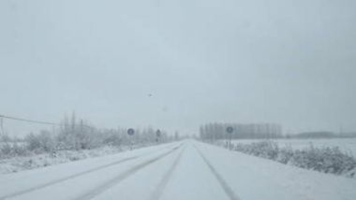 La nieve cayó en cotas bajas a primera hora de la tarde y sacudió a la mitad norte de León