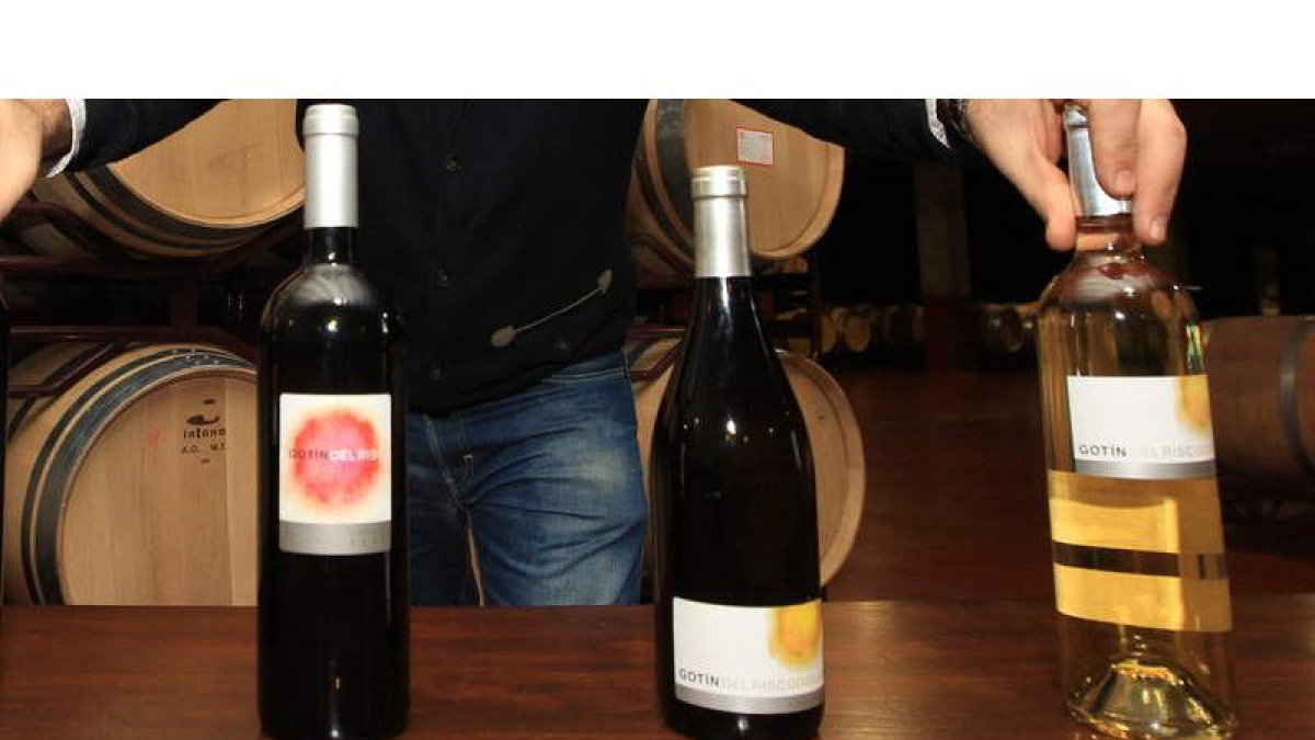 Los godellos de las bodegas del Bierzo son admirados por la crítica de periódicos como NYT.