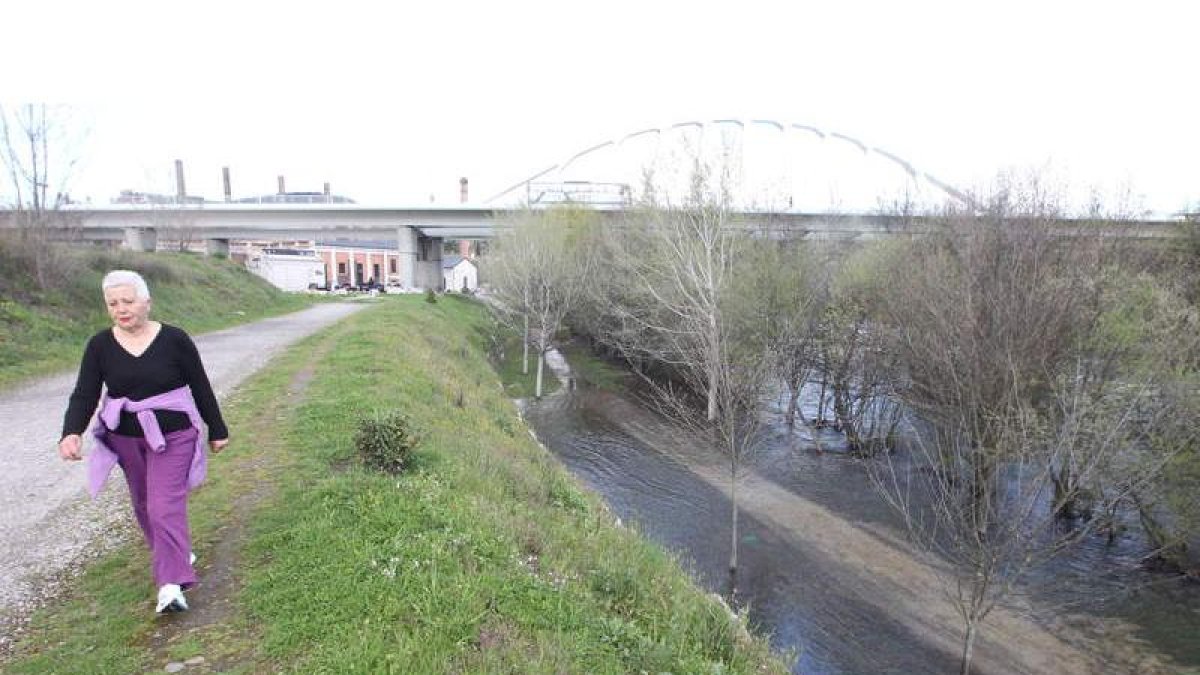 Estado que presentaba ayer por la tarde el paseo del Sil en el entorno del Museo de la Energía y el puente del Centenario.