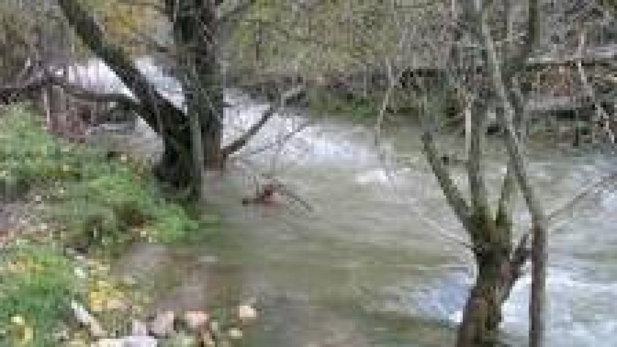 El río Dueñas de Lois aún mantiene un elevado caudal