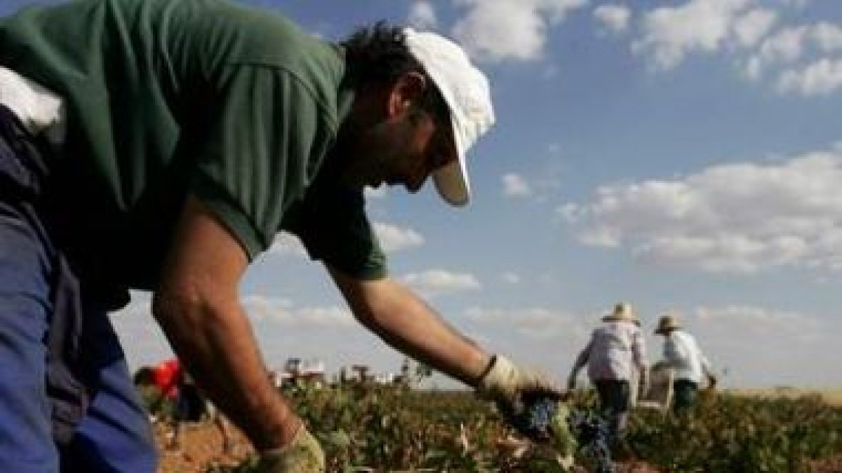 El sector agroalimentario es uno de los sectores emergentes de la economía provincial.